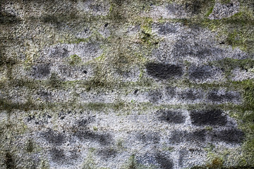 rough texture of a old gray wall.