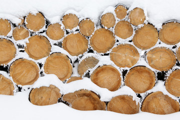 pile of tree trunks covered in snow