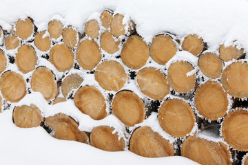 pile of tree trunks covered in snow.