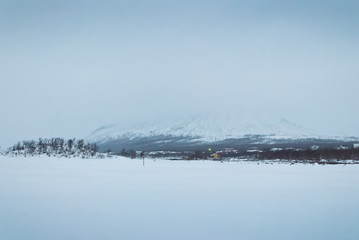  Winter landscape of the tundra