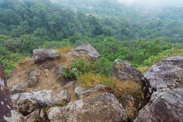 Fototapeta na wymiar high cliff rock with heavy fog, cloud and mist in mon jong doi at Chaing mai, Thailand