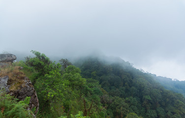 Fototapeta premium high cliff rock with heavy fog, cloud and mist in mon jong doi at Chaing mai, Thailand