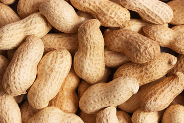  raw peanuts in the shell, background