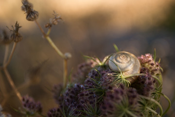Nature.