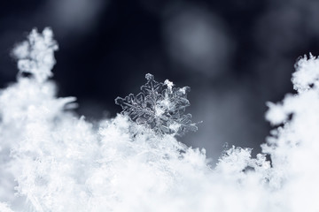 snowflake on snow, snow
