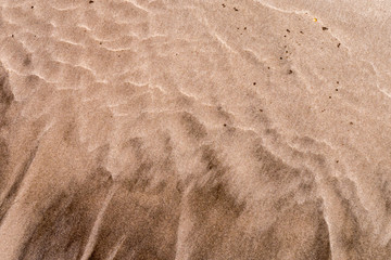 Fototapeta na wymiar Cradle Coast - Tasmanien - Sandstrand - Detail