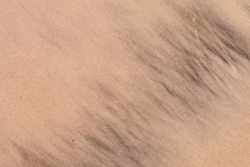 Fototapeta na wymiar Detail - Sandstrand - Cradle coast