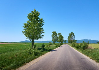 Fototapeta na wymiar Empty asphalt road in the countryside