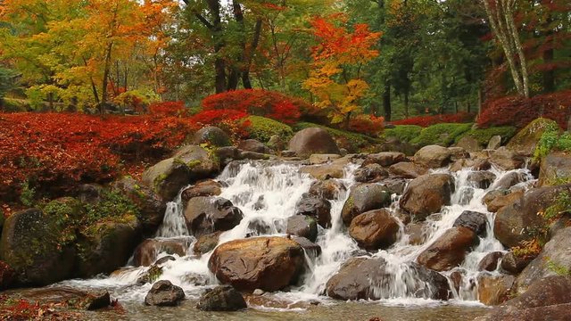 Cascade on mountain river in picturesque autumn forest.