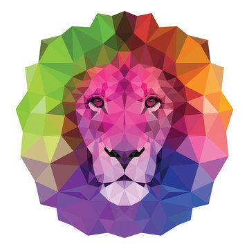 The colorful muzzle lion vector illustration with high-detailed eyes, consisting of triangles. Low poly design