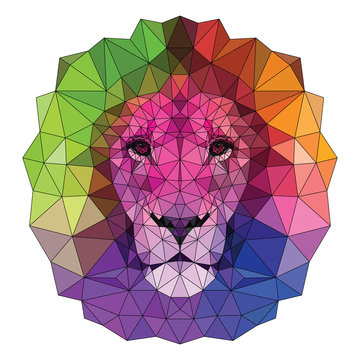 The colorful muzzle lion vector illustration with high-detailed eyes, consisting of triangles with a stroke. Low poly design