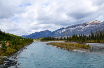 秋のカナディアンロッキー　 黄葉のクートニー・バレー（クートニー国立公園　カナダ　ブリティッシュ・コロンビア州）