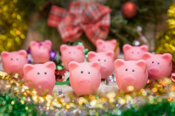 Obraz premium Cute pink pig toys in a festive environment. Selective focus. Christmas and new year 2019 concept. Pig symbol of 2019 on the Chinese calendar.