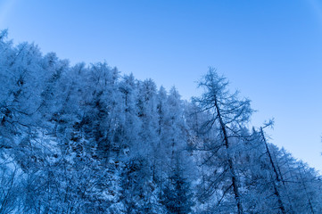 Jenner und Königsee Dezember 2016