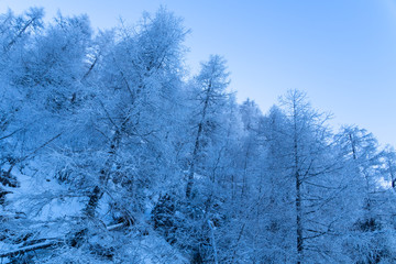 Jenner und Königsee Dezember 2016