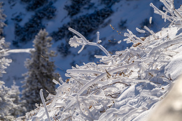 Jenner und Königsee Dezember 2016