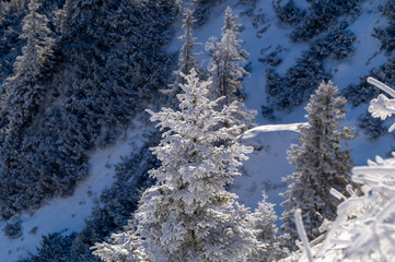 Jenner und Königsee Dezember 2016
