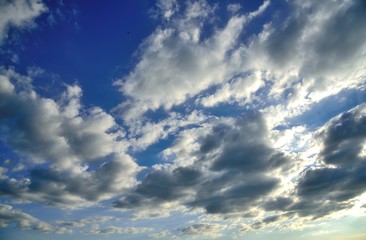 cloud on blue sky wall