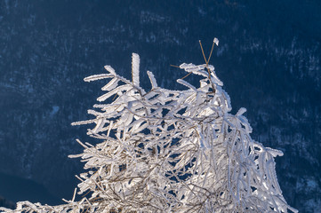 Jenner und Königsee Dezember 2016