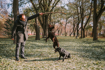 Bearded hipster playing with labrador