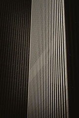 New york City (USA)