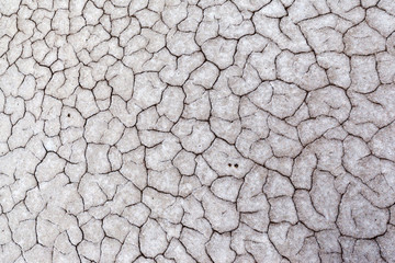 Gray dry soil or cracked ground texture background. Takyr