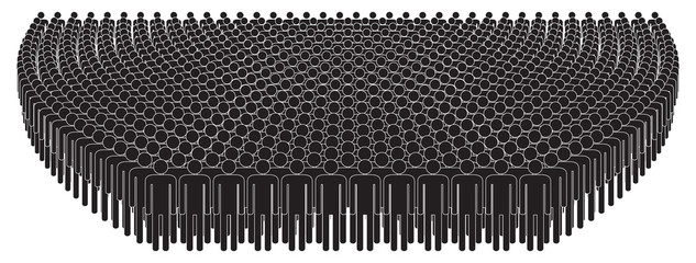 Crowd. People standing in a crowd.