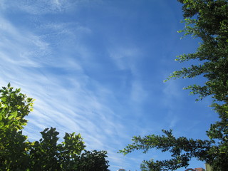Soft blue skies and magnificent clouds