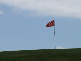 Objectif de golfeur sous le vent et sur la verdure