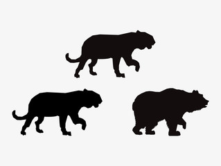 big cats and bear sihouette icons image 