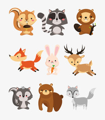 Obraz premium fox rabbit deer squirrel raccoon beaver skunk and bear icons ima