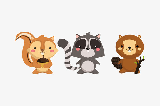 squirrel raccoon and beaver icons image 