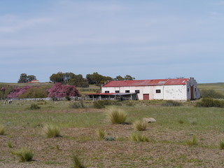 A farm in the middle of the Peninsula Valdes