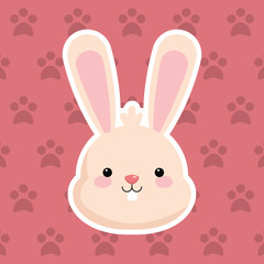 Fototapeta premium rabbit with pattern background image