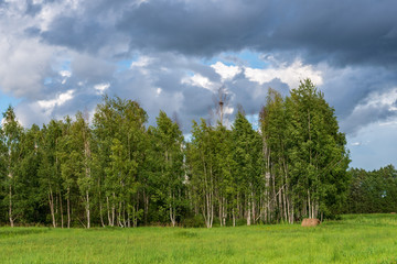 empty countryside landscape in autumn with fields and meadows and rare trees in background