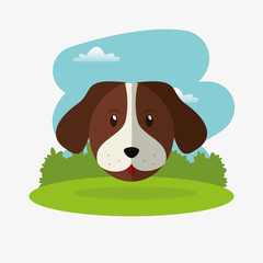 pets related icons image 