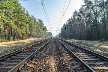 railroad tracks in misty forest