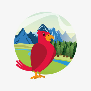 cute red bird over forest and mountains landscape image