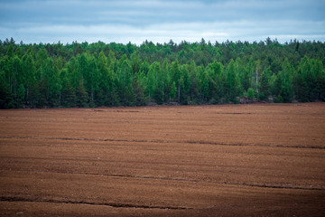 empty countryside landscape in autumn with fields and meadows and rare trees in background