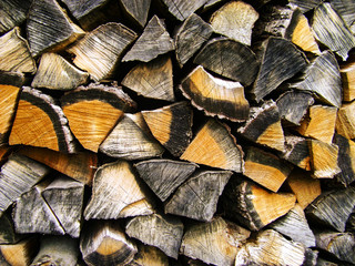 Fototapeta premium Firewood background, Stacks of firewood in the forest. Pile of firewood. Firewood Dry firewood in a pile for furnace kindling
