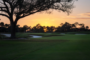 Golf Greens in Sunset