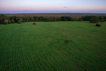 empty countryside landscape in autumn with fields and meadows and rare trees in background