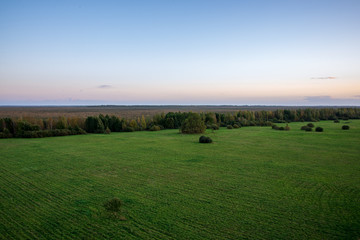 Fototapeta premium empty countryside landscape in autumn with fields and meadows and rare trees in background