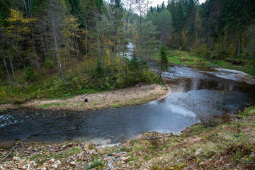 rocky forest river with low stream in summer