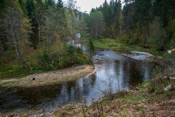 rocky forest river with low stream in summer