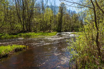 close up tree branches in autumn and nature details abstract