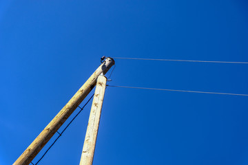 Fototapeta premium eletricity line poles and wires on blu sky