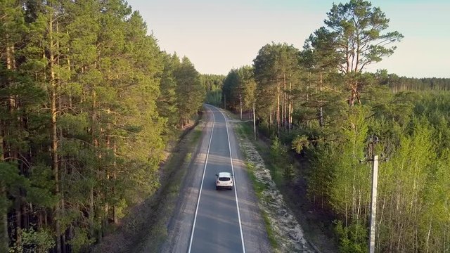 pictorial upper panorama new highway crosses evergreen pine forest with driving car at summer sunset