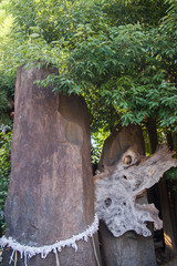 妖怪神社　水木しげるロード