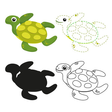 turtle worksheet vector design